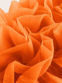 Aveloria Rosie Ruffle Trim Mesh Overlay Top Cute Funny Shirts Orange Top - Burnt Orange - View 4