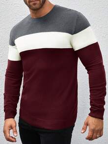 Manfinity Mode 男士撞色拼接圆领长袖简约休闲毛衣，秋冬款 - 酒紅色 - 查看 3