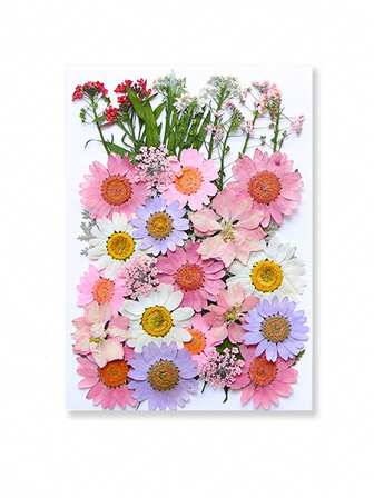 42 Pieces Colorful Natural Dried Flowers – Suitable For Nail Art, Candle Making, Resin Crafts & Resin Mold Filler DIY