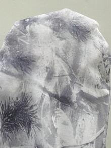 StreetHx Quần dài thể thao ống đứng in họa tiết lá cây màu xám, cạp chun, có dây rút, họa tiết ngụy trang dành cho nữ, thường ngày cho mùa thu/đông, thích hợp mặc hàng ngày, giáo viên, trường học, lễ tốt nghiệp, phong cách đường phố cổ điển, giải trí, thể thao, mặc nhà - Xám - Xem 8