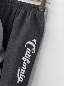 SHEIN 2 件套儿童男童休闲日常舒适字母印花拼接撞色连帽宽松长袖开衫和宽松纯色慢跑裤针织套装，适合学校、花园、海滩、生日、春季、夏季、秋季、冬季 - 彩色 - 查看 5