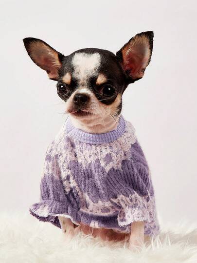 PETSIN 1pc Light Purple Lace Lace Traction Buckle Lace Pet T-Shirt For Autumn And Winter, Simple And Thick Warm Pet Lace Edge Clothes