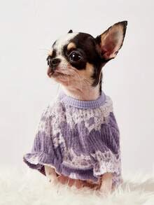 PETSIN 1pc Light Purple Lace Lace Traction Buckle Lace Pet T-Shirt For Autumn And Winter, Simple And Thick Warm Pet Lace Edge Clothes - Mauve Purple - View 5