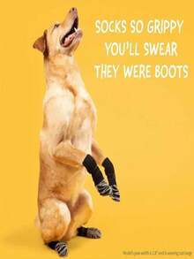 4PCS Pet Anti Slip Sock Shoes For Cats Dogs Indoor Outdoor Protection Paw Care Walking Accessories