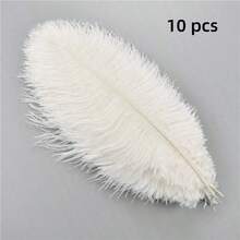 5/10件 20-25厘米人造白色羽毛工艺品 DIY 情人节礼物包装配件派对羽毛缝纫服装配饰羽毛婚礼珠宝制作家居装饰 - 彩色 - 查看 9
