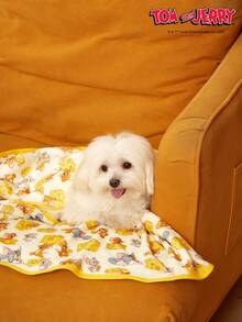 TOM & JERRY X PETSIN 1 宠物猫狗通用老鼠猫顶部奶酪可爱图案印花毛绒保暖四季通用狗毯