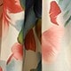 彩色