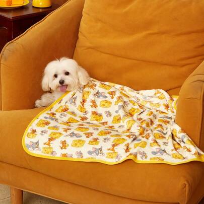 TOM & JERRY X PETSIN 1 宠物猫狗通用老鼠猫顶部奶酪可爱图案印花毛绒保暖四季通用狗毯