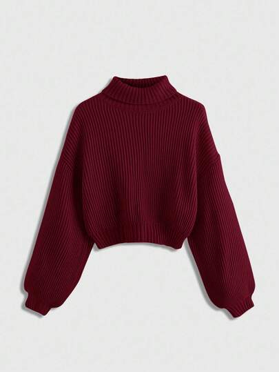 Plus Size Turtleneck Pullover Sweater, Versatile For Autumn/Winter