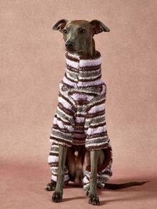 PETSIN Pawparrel 1件宠物秋冬时尚经典撞色复古学院风条纹印花学院风双面毛绒保暖弹力舒适狗狗高领连体衣 - 彩色 - 查看 7