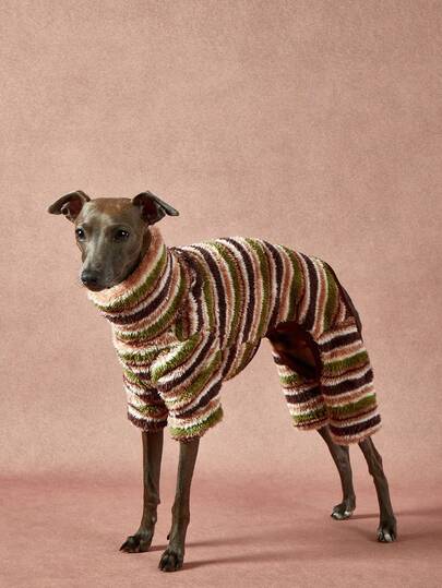 PETSIN Pawparrel 1件宠物秋冬时尚经典撞色复古学院风条纹印花学院风双面毛绒保暖弹力舒适狗狗高领连体衣