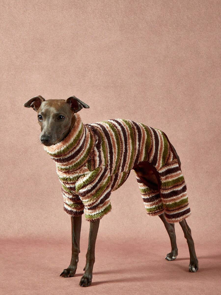 PETSIN Pawparrel 1件宠物秋冬时尚经典撞色复古学院风条纹印花学院风双面毛绒保暖弹力舒适狗狗高领连体衣 - 彩色 - 查看 1