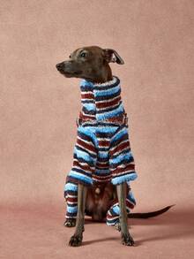 1 pièce Combinaison pour chien à col montant en peluche douce et élastique, style classique à rayures contrastées de couleur, style universitaire, convient pour l'automne/l'hiver - Multicolore - Voir 5