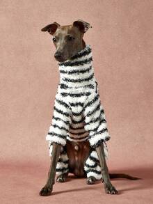 PETSIN Pawparrel 1件宠物秋冬时尚经典复古黑白条纹印花学院风双面毛绒保暖弹力舒适狗狗高领连体衣 - 彩色 - 查看 6