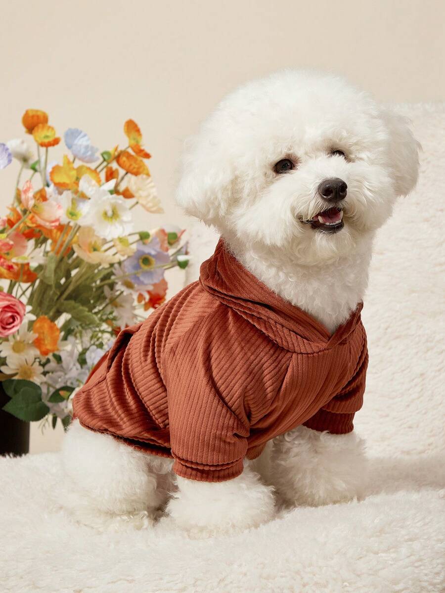 PETSIN Sudaderas y Hoodies para Mascotas - Multicolor - Ver 1