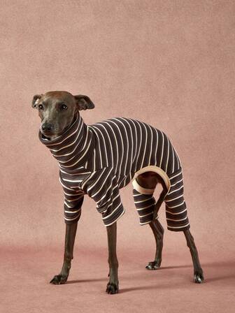 PETSIN Pawparrel 1pc Pet Autumn/Winter Fashion Classic Retro Warm And Elastic Comfortable Dog High Collar Jumpsuit