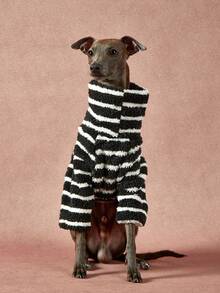 1件宠物秋冬双面毛绒弹力舒适保暖面料高领时尚复古黑白条纹狗狗连帽衫