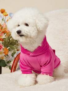 Áo nỉ và áo hoodie cho thú cưng - Nhiều màu - Xem 4