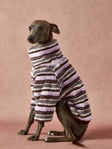 1pc Pet Universal Autumn And Winter Double-Sided Plush Elastic Comfortable Warm Fabric High Neck Fashionable Retro Brown Purple Stripe Pattern Dog Hoodie - Multicolor - View 6