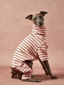 1pc Pet Autumn/Winter Fashion Classic Retro Warm And Elastic Comfortable Dog High Collar Jumpsuit - Multicolor - View 2