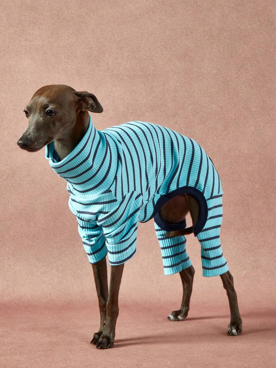 1件宠物秋冬时尚经典复古保暖弹力舒适狗狗高领连体衣 - 彩色 - 查看 1