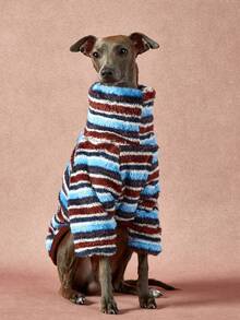 1件宠物通用秋冬双面毛绒弹力舒适保暖面料高领时尚复古棕蓝条纹图案狗狗连帽衫 - 彩色 - 查看 2