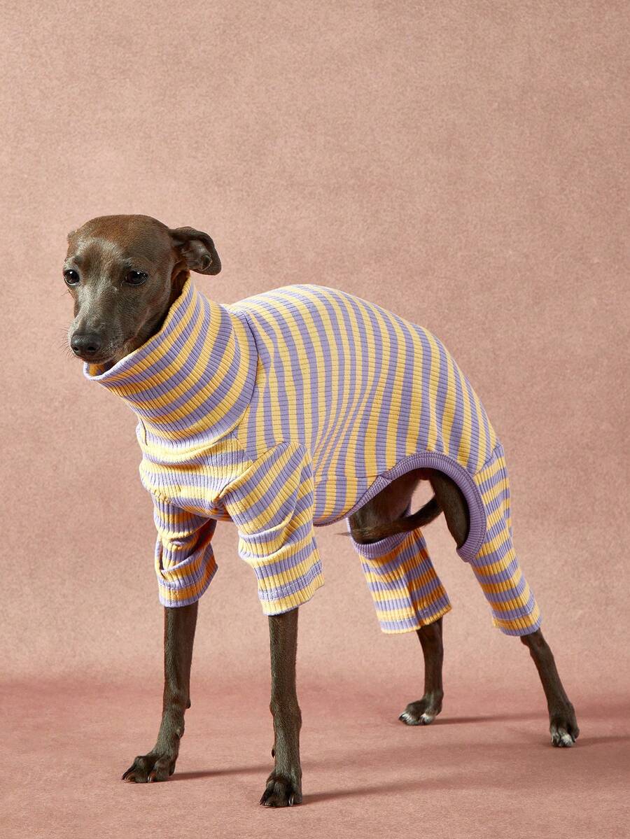 PETSIN Pawparrel 1pc Pet Autumn/Winter Fashion Classic Retro Warm And Elastic Comfortable Dog High Collar Jumpsuit - Multicolor - View 1