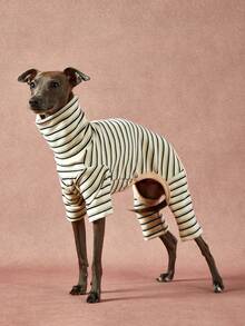 PETSIN Pawparrel 1pc Pet Autumn/Winter Fashion Classic Retro Warm And Elastic Comfortable Dog High Collar Jumpsuit - Multicolor - View 1