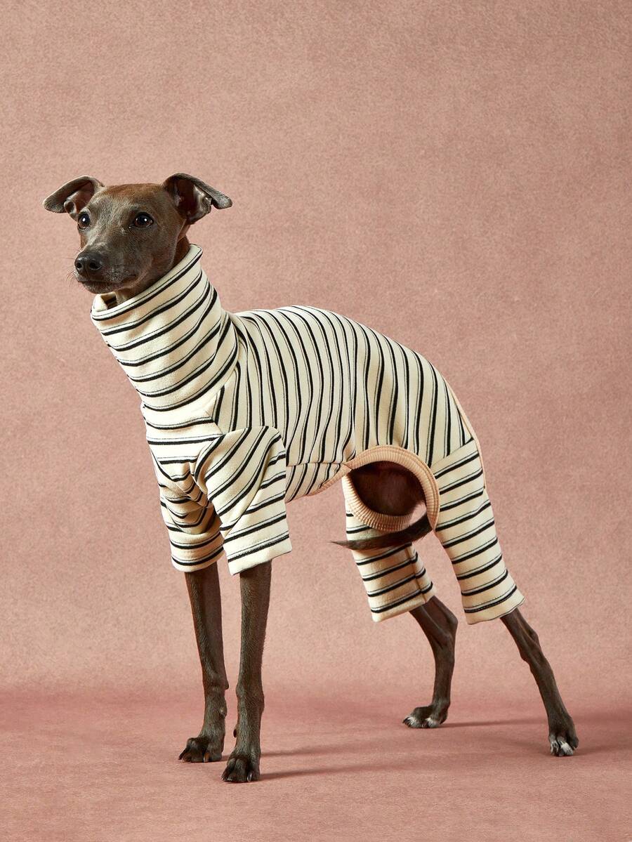 PETSIN Pawparrel 1pc Pet Autumn/Winter Fashion Classic Retro Warm And Elastic Comfortable Dog High Collar Jumpsuit - Multicolor - View 1