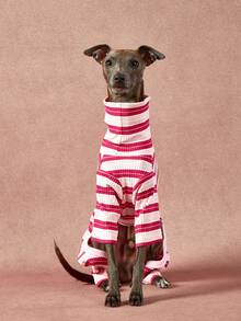 1pc Pet Autumn/Winter Fashion Classic Retro Warm And Elastic Comfortable Dog High Collar Jumpsuit
