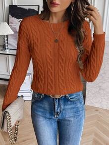 SHEIN LUNE Solid Color Crew Neck Twist Knit Casual Pullover Sweater - Orange - View 6