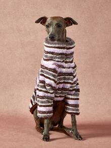 1pc Pet Universal Autumn And Winter Double-Sided Plush Elastic Comfortable Warm Fabric High Neck Fashionable Retro Brown Purple Stripe Pattern Dog Hoodie - Multicolor - View 2