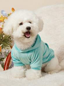 PETSIN 宠物卫衣和连帽衫 - 彩色 - 查看 1