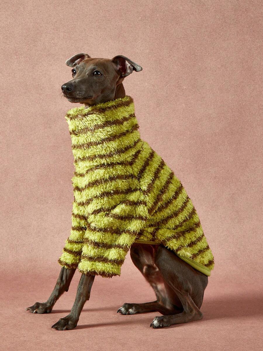 PETSIN Pawparrel 1pc Pet Universal Autumn And Winter Double-Sided Plush Elastic Comfortable Warm Fabric High Neck Fashionable Retro Brown Green Stripe Pattern Dog Sweatshirt - Multicolor - View 1