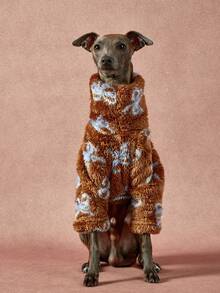 PETSIN Pawparrel 1pc Pet Universal Autumn And Winter Double-Sided Plush Elastic Comfortable Warm Fabric High Neck Fashionable Retro Brown Blue Bow Pattern Dog Sweatshirt - Multicolor - View 7