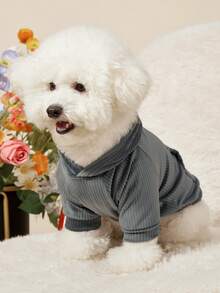 PETSIN 宠物卫衣和连帽衫 - 彩色 - 查看 3