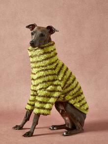 PETSIN Pawparrel 1pc Pet Universal Autumn And Winter Double-Sided Plush Elastic Comfortable Warm Fabric High Neck Fashionable Retro Brown Green Stripe Pattern Dog Sweatshirt - Multicolor - View 6