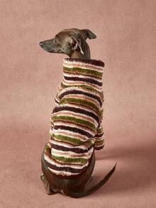 1件宠物通用秋冬双面毛绒弹力舒适保暖面料高领时尚复古棕绿条纹图案狗狗连帽衫 - 彩色 - 查看 6