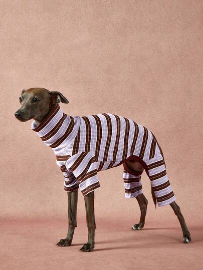 1件宠物秋冬时尚经典复古保暖弹力舒适狗狗高领连体衣