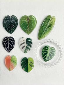 Zazumi Nam châm tủ lạnh hình lá cây, với phong cách xanh tươi mát, mang đến cảm giác độc đáo cho phòng bếp và phòng khách. Có thể dùng làm quà tặng cho bạn bè và gia đình. - Miếng dán tủ lạnh - Xem 7