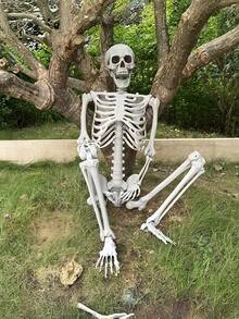 One 35-Inch Halloween Skeleton Anatomical Model, Realistic Human Bone Decoration, Spooky Party Prop, Adds A Festive Atmosphere To Rooms, Homes, Themed Parties, Family Gatherings, And Outdoor Garden Hanging Decorations (Easy To Hang). - Multicolor - View 10
