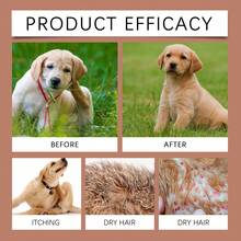 1pc Pet Dog Hair Gentle Cleansing Nourishing Soft Dog Shampoo Cleaning Tools - Party Party Gifts For Friends (New And Old Models Randomly Send) - Multicolor - View 10