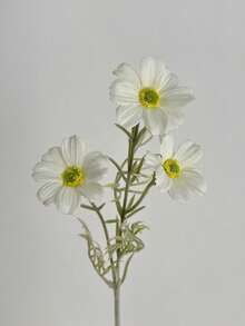 1 pieza/3 piezas Flores de cosmos de tacto real de 17 pulgadas - Ramo de margaritas bohemias, decoración del hogar para todo el año, centro de mesa para bodas de verano y acción de gracias de otoño, crisantemo artificial sin decoloración para mesa/fotografía - Multicolor - Ver 11