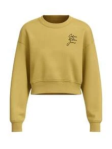 CALVIN KLEIN JEANS Women's Sweatshirts Stretchy Comfortable Cozy Sports Commuting Going Out J20J224743-LMD - Pale Green - View 5