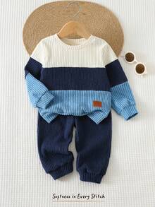 Cozy Pixies 2pcs Baby Boy Textured Knit Crew Neck Sweatshirt And Elastic Waist Pants Set - Blue - View 8
