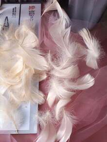 100根混色鹅毛，可用于手工制作、DIY圣诞装饰、天使翅膀和捕梦网制作、波西米亚风婚礼派对装饰、天然羽毛帽子制作、摄影道具、节日装饰品 - 彩色 - 查看 8