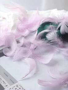 100根混色鹅毛，可用于手工制作、DIY圣诞装饰、天使翅膀和捕梦网制作、波西米亚风婚礼派对装饰、天然羽毛帽子制作、摄影道具、节日装饰品 - 彩色 - 查看 11