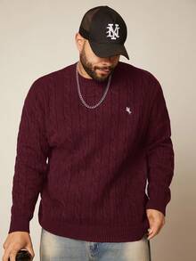 EASEVO 加大码男士休闲绞花针织圆领长袖毛衣