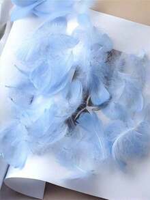 100根混色鹅毛，可用于手工制作、DIY圣诞装饰、天使翅膀和捕梦网制作、波西米亚风婚礼派对装饰、天然羽毛帽子制作、摄影道具、节日装饰品 - 彩色 - 查看 24