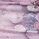 Lilac Purple